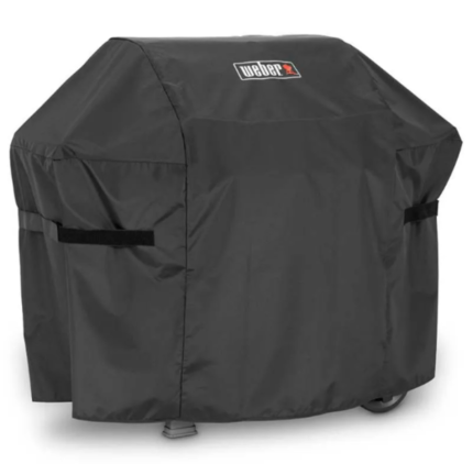 Forro weber spirit 300